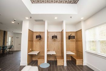 A room with a white ceiling and wooden benches.